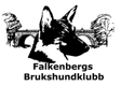 Falkenbergs BK