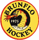Brunflo IK - Ishockey