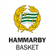 Hammarby Basket P07 Sköndal