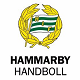 Hammarby IF HF Herr U