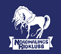 Nordmalings Ridklubb