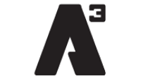 A3